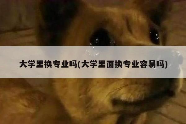 大学里换专业吗(大学里面换专业容易吗)