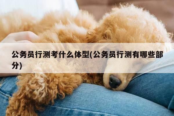 公务员行测考什么体型(公务员行测有哪些部分)