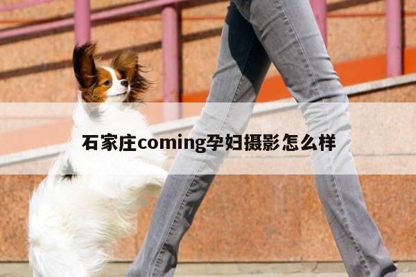 石家庄coming孕妇摄影怎么样