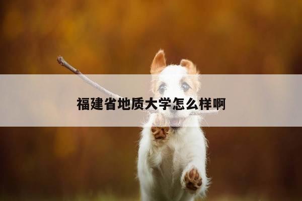 福建省地质大学怎么样啊