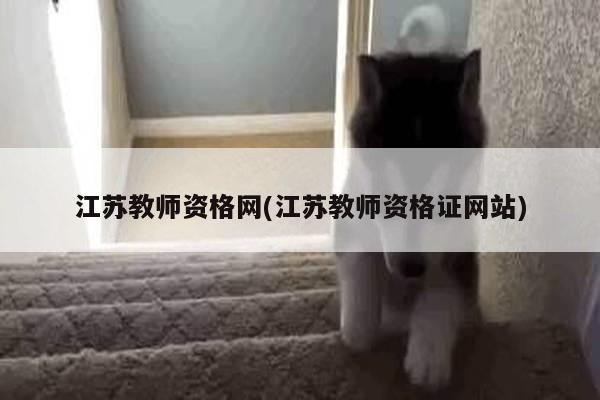 江苏教师资格网(江苏教师资格证网站)