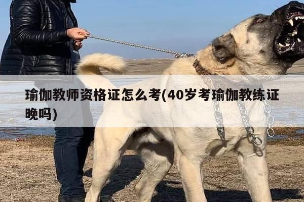 瑜伽教师资格证怎么考(40岁考瑜伽教练证晚吗)