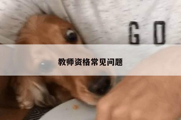 教师资格常见问题