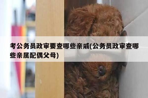 考公务员政审要查哪些亲戚(公务员政审查哪些亲属配偶父母)