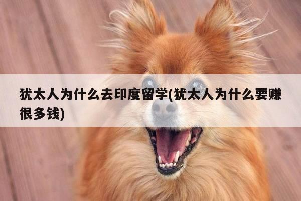 犹太人为什么去印度留学(犹太人为什么要赚很多钱)