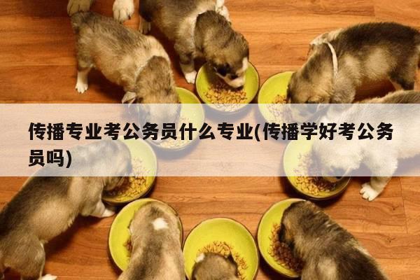 传播专业考公务员什么专业(传播学好考公务员吗)