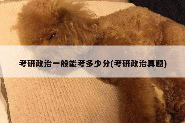 考研政治一般能考多少分(考研政治真题)