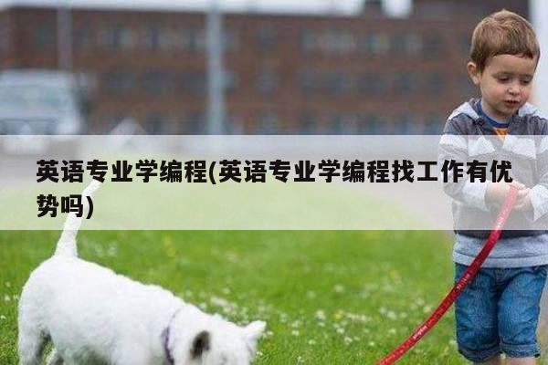 英语专业学编程(英语专业学编程找工作有优势吗)
