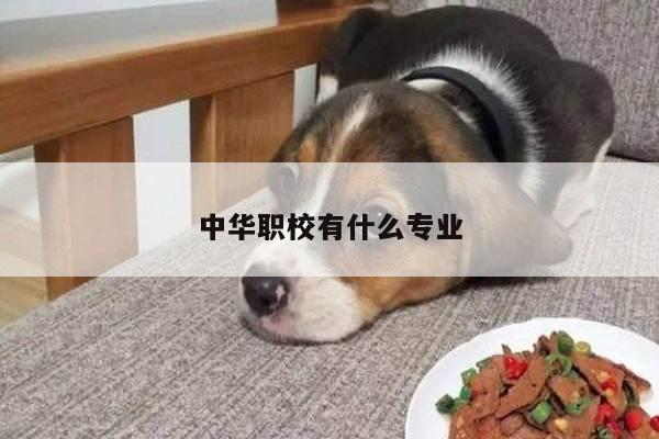 中华职校有什么专业