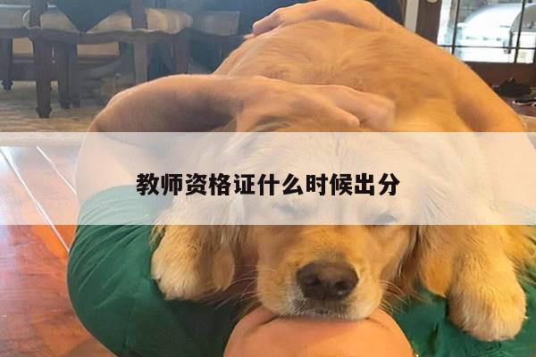 教师资格证什么时候出分