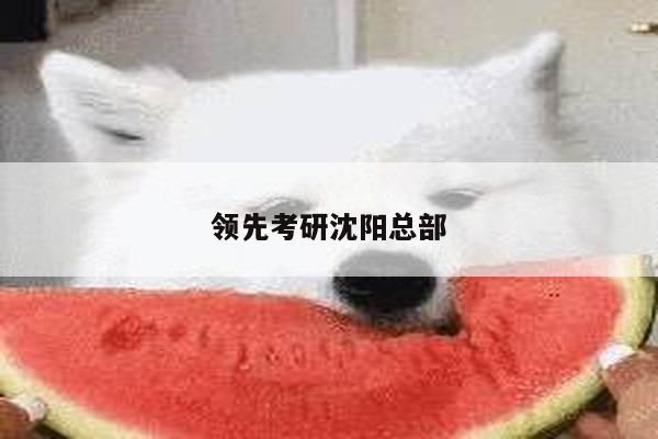 领先考研沈阳总部
