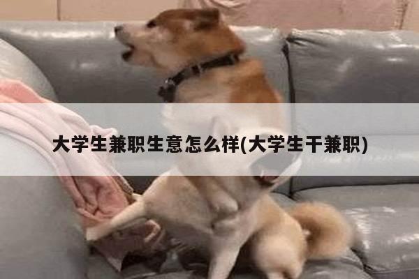 大学生兼职生意怎么样(大学生干兼职)