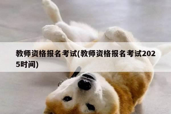 教师资格报名考试(教师资格报名考试2025时间)