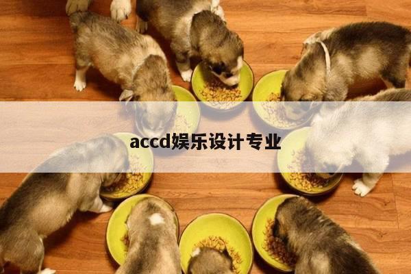 accd娱乐设计专业