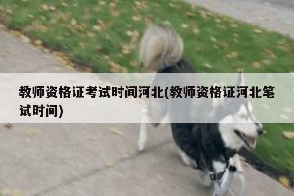 教师资格证考试时间河北(教师资格证河北笔试时间)