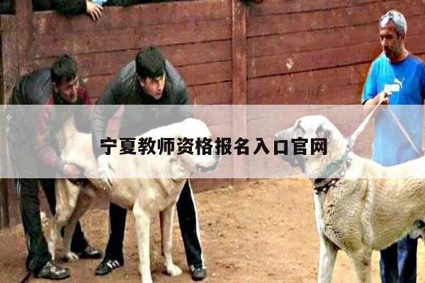 宁夏教师资格报名入口官网