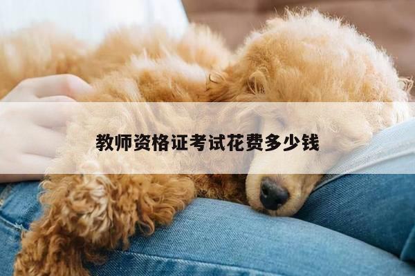 教师资格证考试花费多少钱