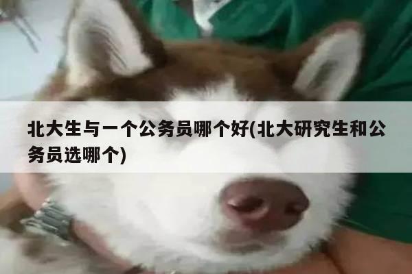 北大生与一个公务员哪个好(北大研究生和公务员选哪个)