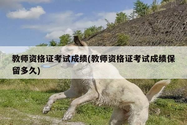 教师资格证考试成绩(教师资格证考试成绩保留多久)