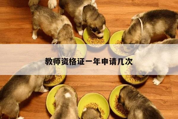 教师资格证一年申请几次