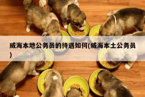 威海本地公务员的待遇如何(威海本土公务员)
