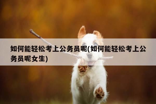 如何能轻松考上公务员呢(如何能轻松考上公务员呢女生)