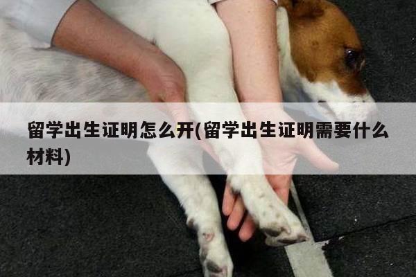 留学出生证明怎么开(留学出生证明需要什么材料)