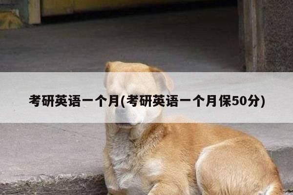 考研英语一个月(考研英语一个月保50分)