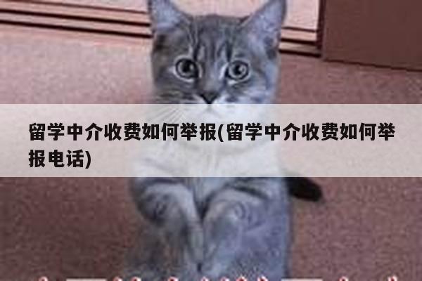 留学中介收费如何举报(留学中介收费如何举报电话)