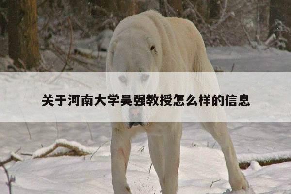 关于河南大学吴强教授怎么样的信息
