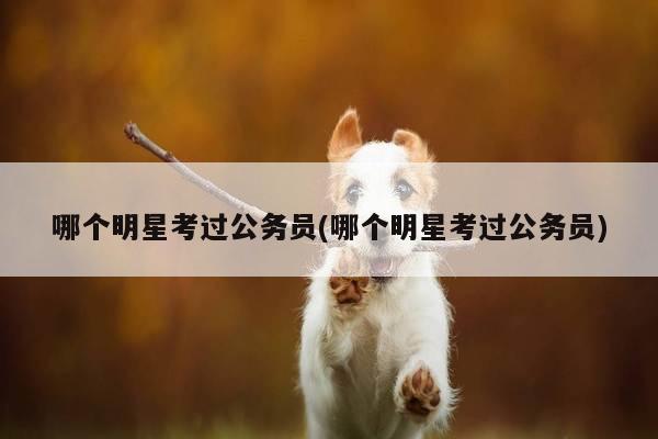 哪个明星考过公务员(哪个明星考过公务员)