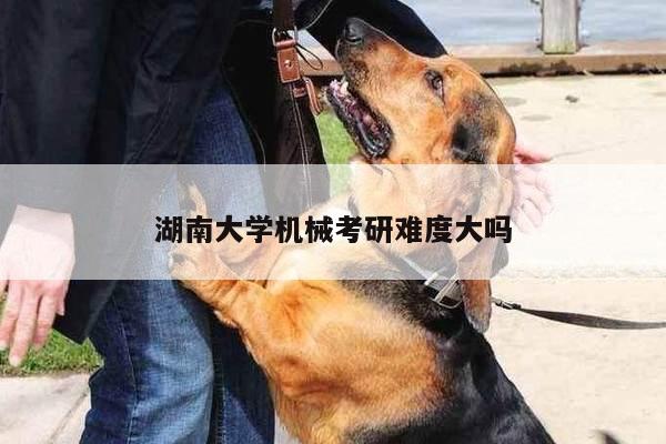 湖南大学机械考研难度大吗