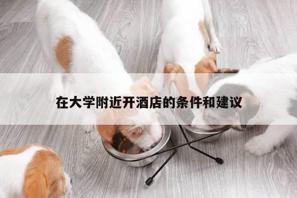 在大学附近开酒店的条件和建议