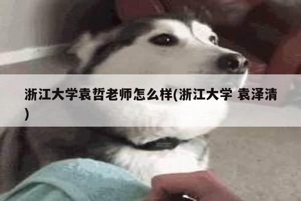 浙江大学袁哲老师怎么样(浙江大学 袁泽清)