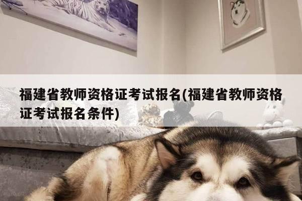 福建省教师资格证考试报名(福建省教师资格证考试报名条件)
