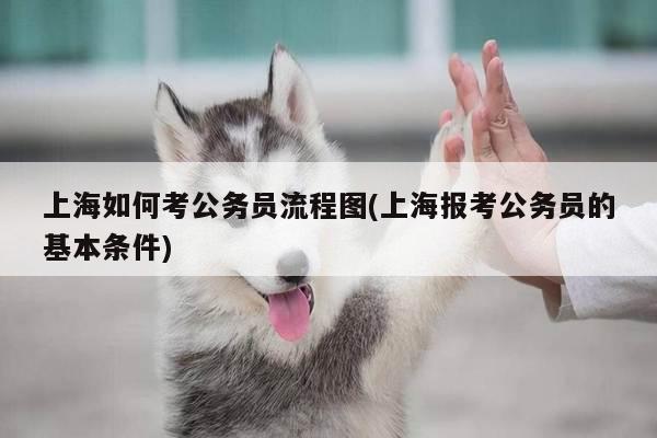 上海如何考公务员流程图(上海报考公务员的基本条件)