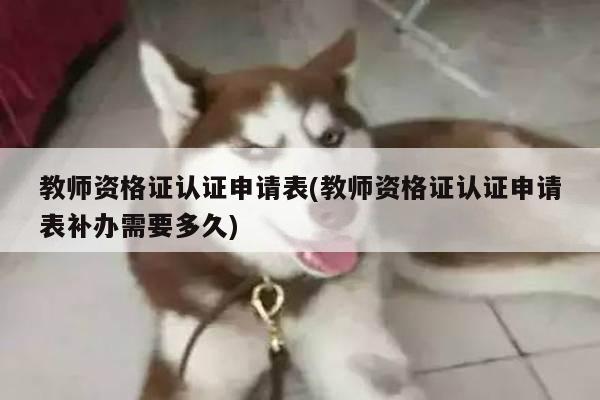 教师资格证认证申请表(教师资格证认证申请表补办需要多久)