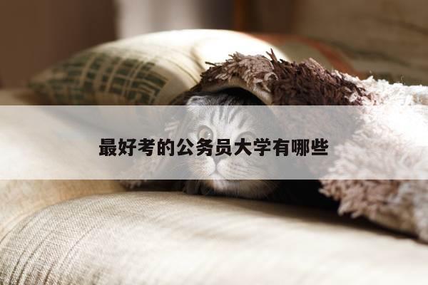 最好考的公务员大学有哪些