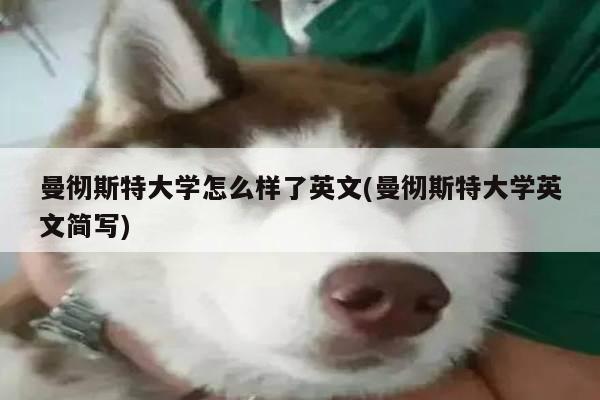曼彻斯特大学怎么样了英文(曼彻斯特大学英文简写)