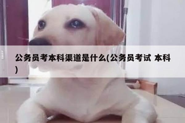 公务员考本科渠道是什么(公务员考试 本科)