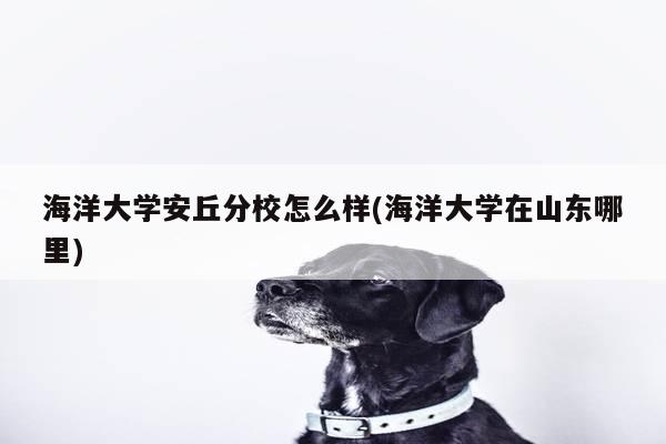 海洋大学安丘分校怎么样(海洋大学在山东哪里)