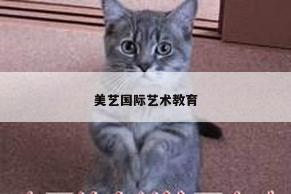 美艺国际艺术教育