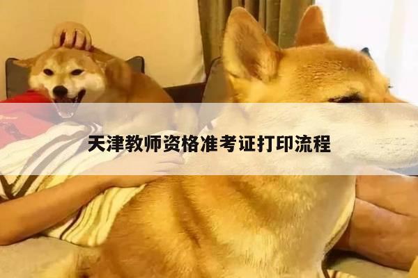 天津教师资格准考证打印流程