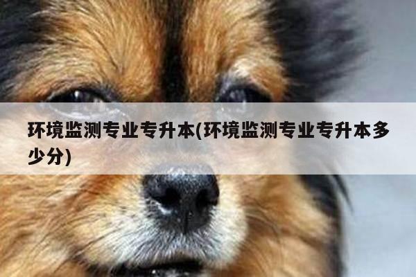 环境监测专业专升本(环境监测专业专升本多少分)