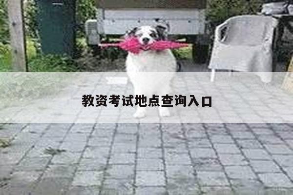 教资考试地点查询入口
