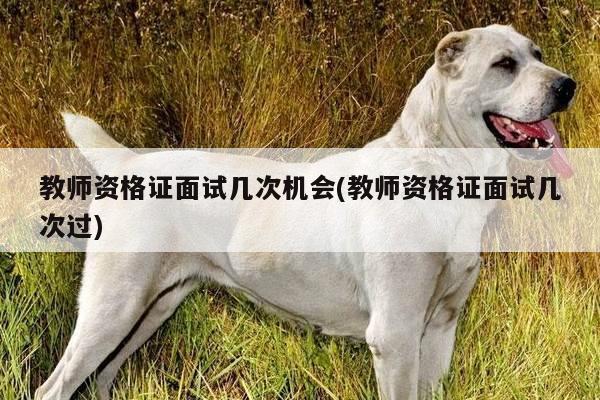 教师资格证面试几次机会(教师资格证面试几次过)