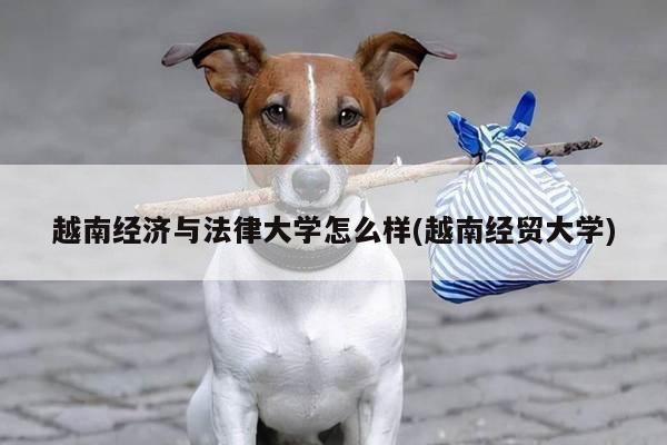 越南经济与法律大学怎么样(越南经贸大学)