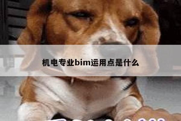 机电专业bim运用点是什么