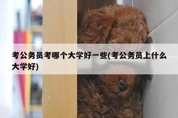 考公务员考哪个大学好一些(考公务员上什么大学好)