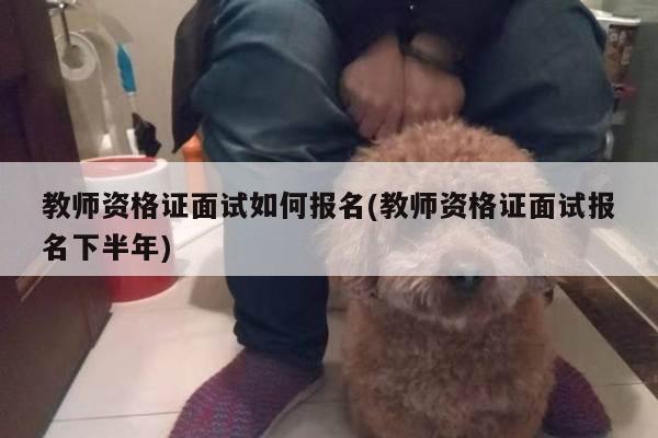 教师资格证面试如何报名(教师资格证面试报名下半年)